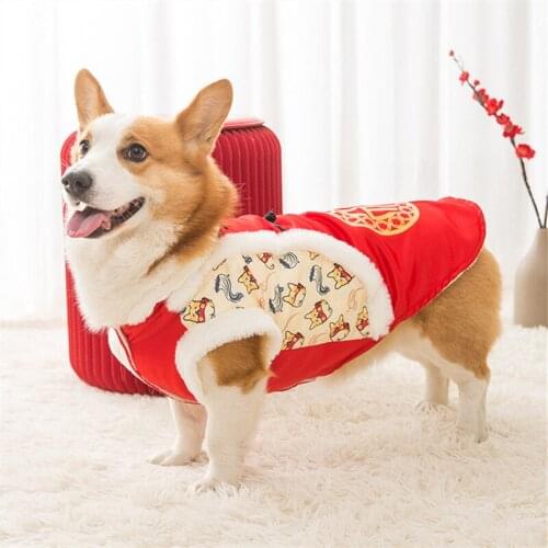 New Year Pet Clothes Winter Dog Clothing Tang Suit Poodle Bichon Schnauzer Welsh Corgi Costumes Shiba Inu Coat Pet Outfit Coat