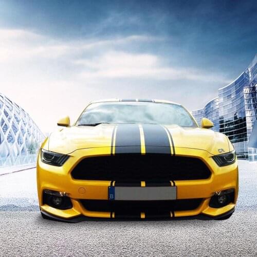 Universal Racing Style Dual Rally Stripes Graphics Vinyl Decals Mustang GT Style Car Full Body Sticker