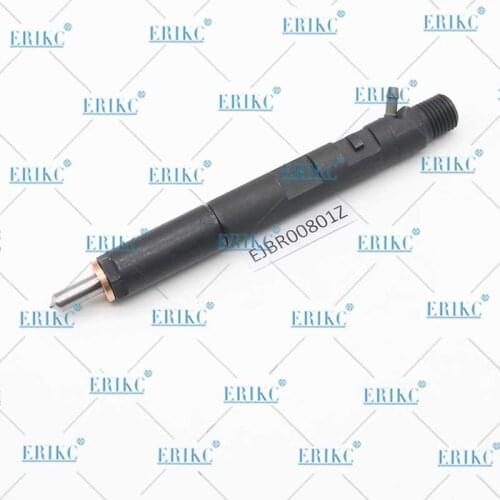 Common Rail Injector EJBR04401D EJBR01301Z EJBR02001Z Diesel Nozzle EJBR04401Z EJBR00801Z EJBR01101Z EJBR03501D for Delphi