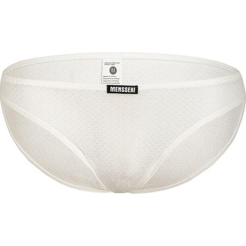 Men Sexy Underwear Slip Hombre Briefs Big Penis Gay Sexy Men Ropa Interior Hombre Mesh Nylon Transparent Calzoncillos Underpants