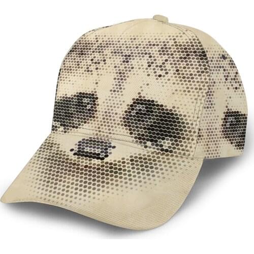 CINESSD 2020 New Baseball Cap Fishing Caps Men Outdoor Hunting Hat Hiking Hat Vintage Geometric Raccoon