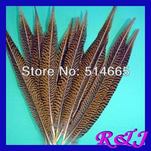 Free Shipping 50pcs/lot golden pheasant tail pheasant feather tail 45-50cm 18-20 inches