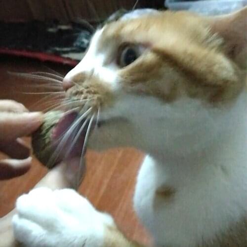 Safe Edible Treating Mint Flavored Pet Cat Catnip Toy Natural Treat Ball Favor Home Chasing Toys Healthy Cat Snacks OPP Packing