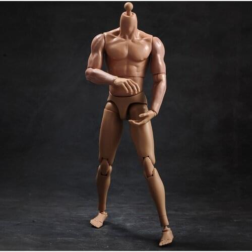 1/6 TQ230 Male body muscle type with neck version for 12 inch action figure body accessories