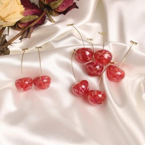2020 Korean New Design Fashion Jewelry Resin Cherry Cute Personality Eternal Flower Dried Flower Female Earrings