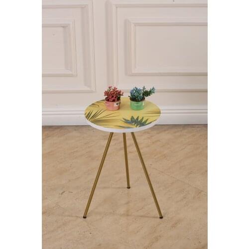 Modern Side table with Flower bed coffee tables table basse furniture living room table