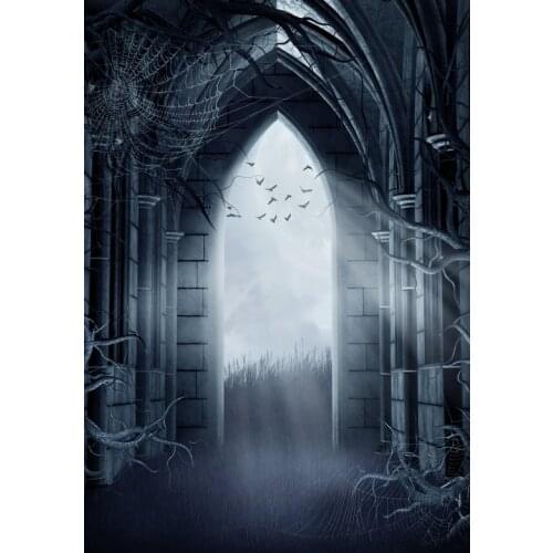 Laeacco Scared Dark Palace Arch Night Scenic Photography Backgrounds Customized Vinyl Photographic Backdrops For Photo Studio