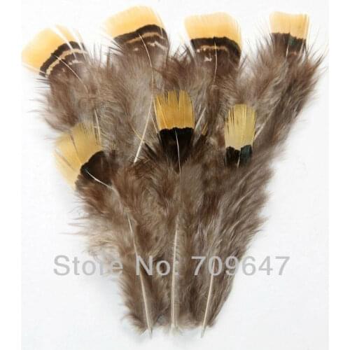 Small Feathers ! 200Pcs/Lot 4-7CM Yellow-tipped Lady Amherst Pheasant Body Plumage Feathers,loose feathers