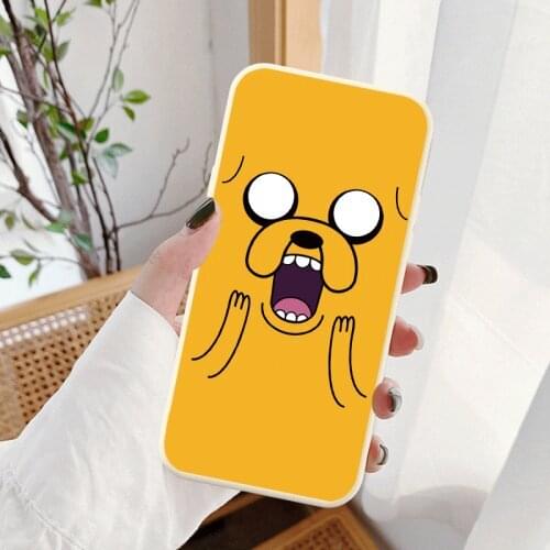 Nohon IPhone 12 Max