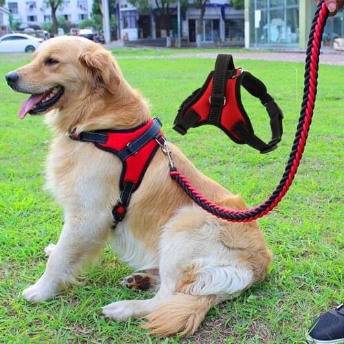 Miflame Durable Dog Harness With Leash Large Dog Collar For Pet Accessories Labrador Border Collie Collar Pet Leash Dog Supplies