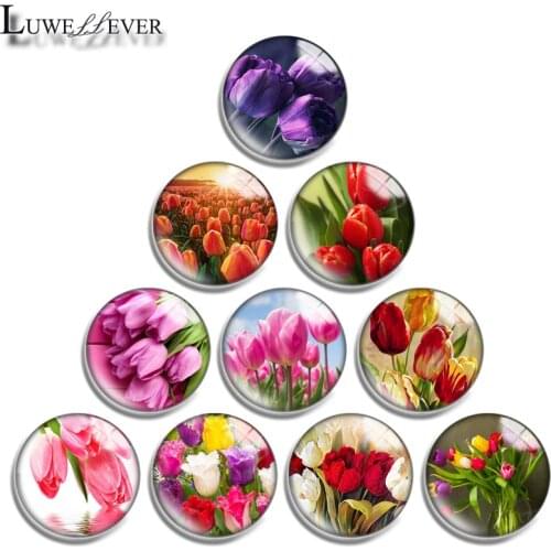 12mm 14mm 16mm 20mm 25mm 30mm 650 Tulip Mix Round Glass Cabochon Jewelry Finding 18mm Snap Button Charm Bracelet