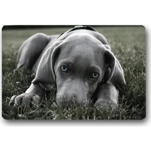 Weimaraner Floor Mats Custom Bathroom Kitchen Carpets Doormats DIY Living Room Floor Mat Anti-Slip Bath Tapete