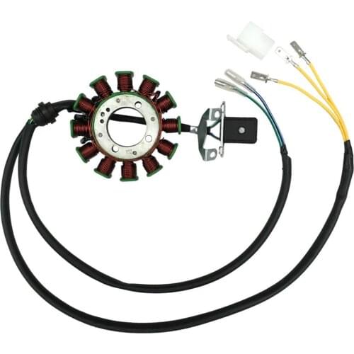 12 Coil Magneto Stator for 200cc 250cc Dirt Bike Motorcycle