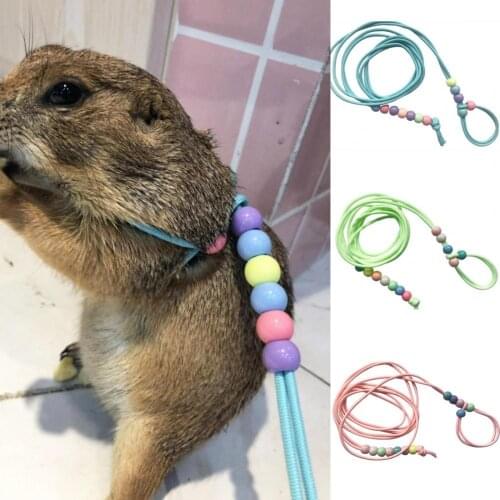 Small Animal Leash Adjustable Night Luminous Portable Lizard Hamster Rabbit Nylon Traction Rope Anti-Bite Small Pet Leash