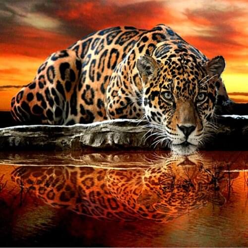 Full diamond 5D DIY diamond painting tiger/leopard diamond embroidery kit mosaic animal home decoration gift