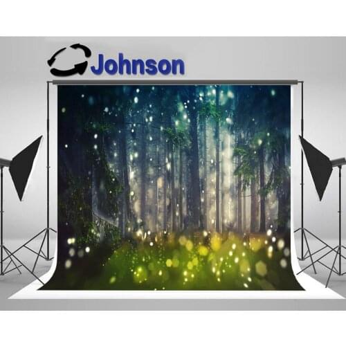 Fairy forest Trees Wood Glade bokeh photo backdrop High quality Computer print wall photography backgrounds