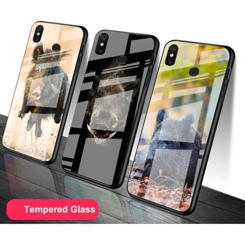 Wild boar Tempered Glass Phone Case For Redmi Note 5 6 7 8 9 Pro Note8T Note9S Redmi8 9 Cover Shell