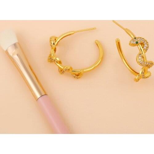Charming Snake Earrings 18K Gold Plated Copper Zirconium Circle Earrings For Womens Earrings Daily Jewelry Gifts