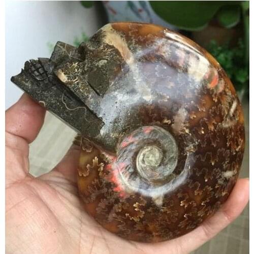 Top quality Natural clear Crystal cluster Skull healing hot sale