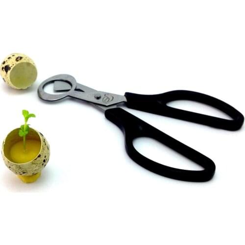 Quail Egg Opener Kitchen scissor Bird Tool Cracker Blade Clipper Cigar Cutter Pigeon