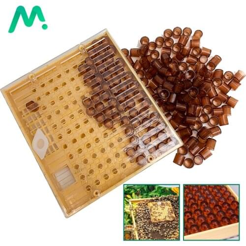 1Set Queen Bee Rearing Cupkit Box Queen Rearing System And 120 Sets Plastic Bee Protective Bee Cell Brown Cells Beekeeper Tools
