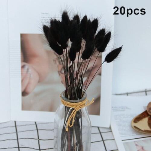 20Pcs Rabbit Tail Grass Natural Dried Flowers For Home Decoration Flower Arrangement Long Bunches Bouquet Props STTA889