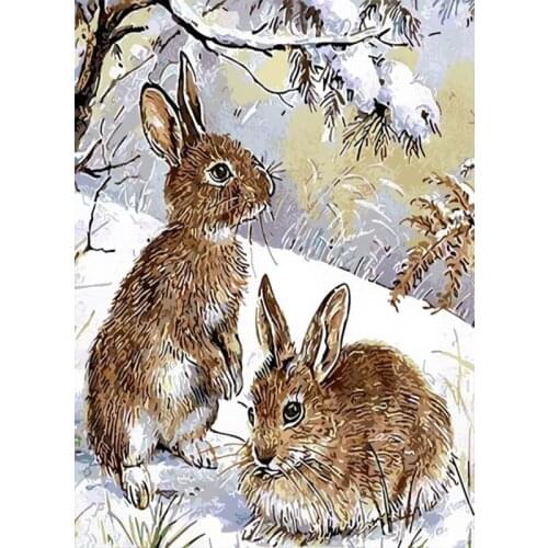 Frame DIY Painting By Numbers acrylic Colorful Animals rabbit Hand Painted Oil Paint By Numbers For Home Decor Art