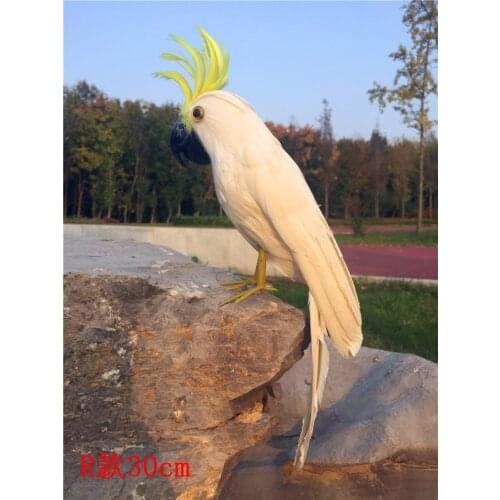About 30cm white feathers parrot,Handmade model,foam&feathers cockatoo bird prop,garden decoration toy w0765
