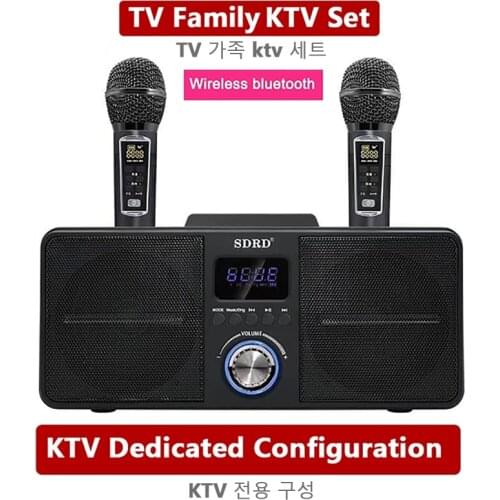 Karaoke Bluetooth Speaker KTV Home Theater 30W High Power Subwoofer Bass Party Portable Wireless Column Double Mic caixa de som
