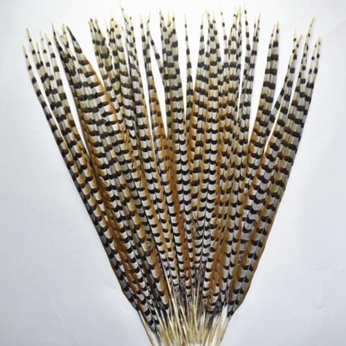 Natural Lady Amherst Pheasant Feathers for Crafts12-72" Long Reeves Venery Pheasant Tail Feathers Feather Decor Carnival Perform