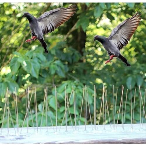 Bird Repeller Anti Birds Anti Pigeon Spike For Get Rid Of Pigeons and Scare Birds Pest Control Bird Repellent Garden Supplies