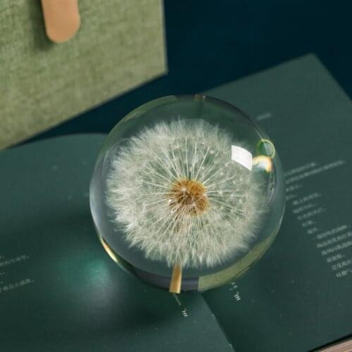 Real Dandelion Crystal Glass Resin Lens Ball 80mm Natural Plants Flowers Specimen Christmas Love Gift With Box Home Decor Globe