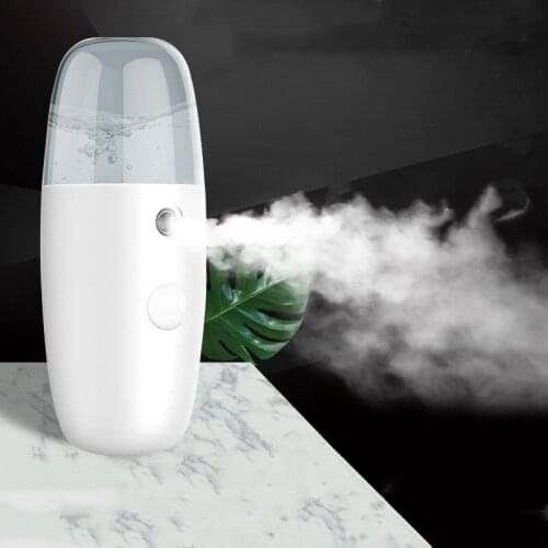 30ML Handheld Moisture Facial Steamer Ultrasonic Face Humidifier Sprayer USB Charging Nano Water Mist Maker Body Spray Nebulizer