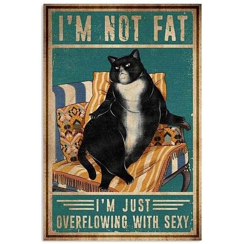 No estoy gordo carteles de Metal pared Vintage placa Retro Club Pub póster para Bar Decoración