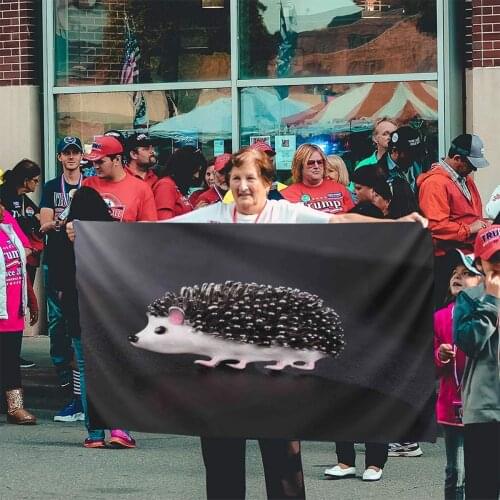 Herisson Niglo 828 Flag Banner Home Outdoor Gift Party Philippine Germany Italian Flag