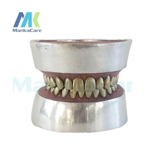 Manka Care - Metal teeth extraction model Oral Model Teeth Tooth Model