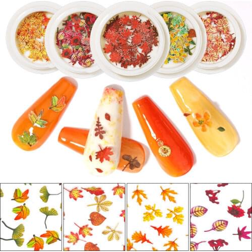 Color Mixed Flower Maple Leaf Wood Pulp Piece Small Daisy Rose Fresh Pastoral Nail Dried Flower Patch DIY Nail Art Decoration