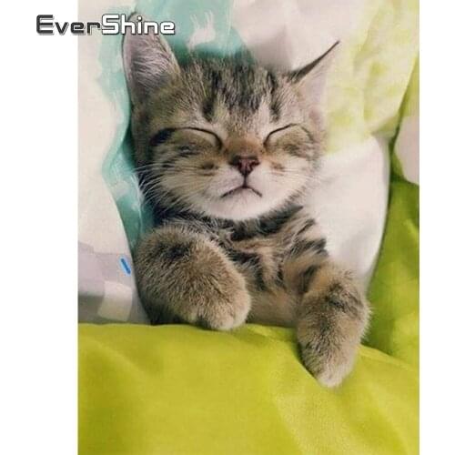 Evershine 5D DIY Full Square Round Diamond Painting Cat Diamond Embroidery Animal Cross Stitch Rhinestones Pictures Home Decor