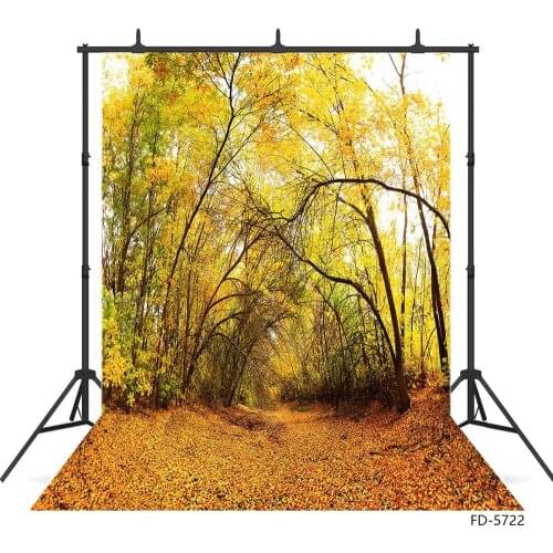 Trees Fallen Leaves Scenery Photo Backgrounds Customized Fond Backdrop for Baby Children Portrait Photocall Photography Props