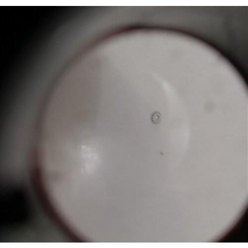 Watch movement accessories Swiss original 3135 movement accessories 3135-250 ETA3135 needle wheel