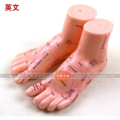 17cm Foot Acupuncture Model Set Foot Acupuncture Needle Acupoint Model Foot Acupuncture Point Model 2 Pieces