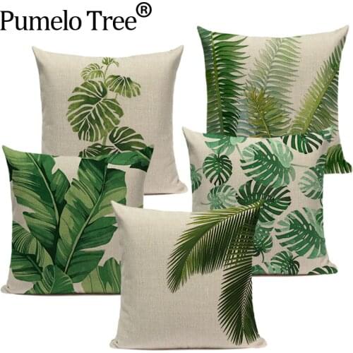 Pumelo Tree Products For Mothers And Babies