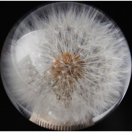 Universal Car Auto Round Dandelion Resin Gear Shift Knob Manual Lever- Stick Shifter Modification Replacement Part Tool