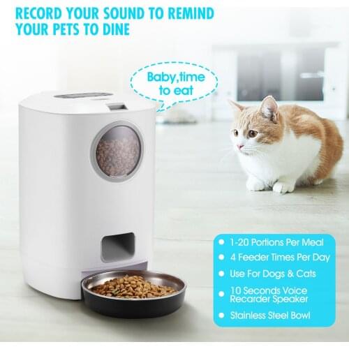 New intelligent automatic feeding feeder for pets electronically controls the time and amount of food