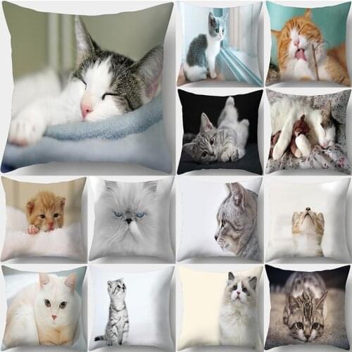 Cute Cat Print Decorative Cushions Pillowcase Polyester Cushion Cover Throw Pillow Sofa Living Room Decoration Pillowcover 40956