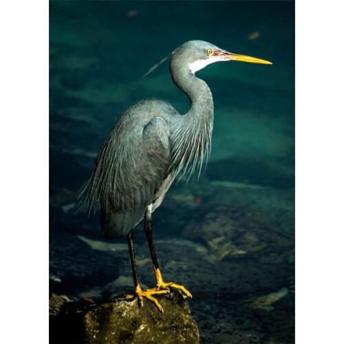 5D DIY Full Square/Round Diamond Painting Grey Heron Diamond Embroidery Rhinestone Cross Stitch Home Decor Gifts