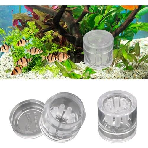 8 Hole Planaria Snail Trap Aquarium Fish Plant Tank Aquarium Cleaning Tools Transparent Pest Catch
