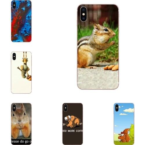For Xiaomi Mi note 9 10 mi10 mi9 mi8 pro lite SE Mi A1 A2 A3 CC9 CC9E 9T Soft Phone Animal Squirrel Sciurus Vulgari