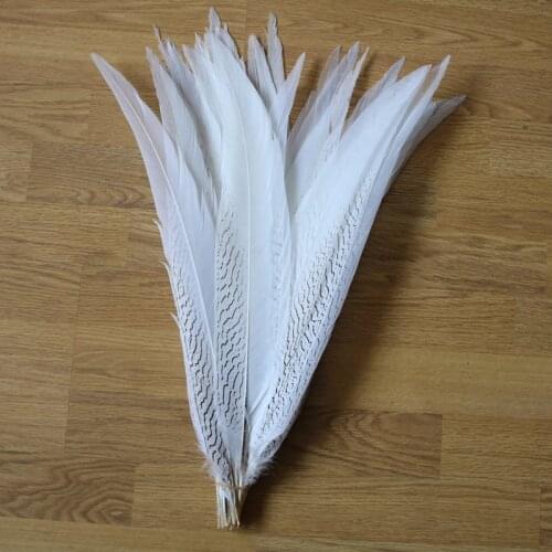 100pcs/lot Natural Silver Pheasant Tail Feathers 55-60CM White Pheasant Feathers for Crafts Silver Chicken Feathers Plume Plumas