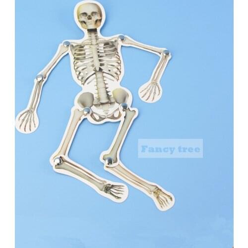 Creative Experiment Tecnologia Diy Kit Human Body Bones Model Movable Paper Joints Building Kits Jigsaw Puzzle Steam Toys